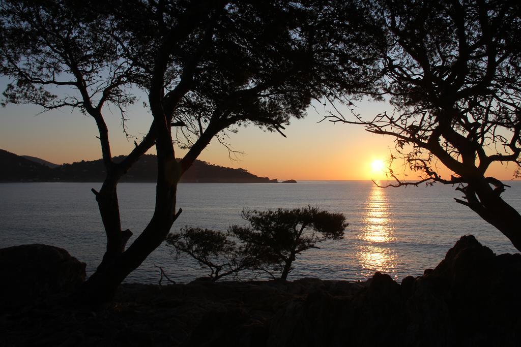 Auberge Du Cap Negre เลอลาวองดูว์ ภายนอก รูปภาพ