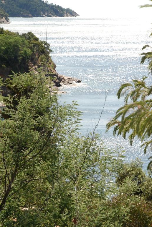 Auberge Du Cap Negre เลอลาวองดูว์ ภายนอก รูปภาพ