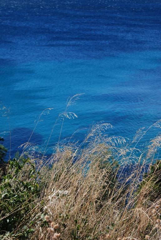 Auberge Du Cap Negre เลอลาวองดูว์ ภายนอก รูปภาพ